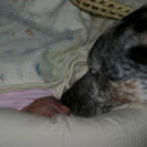 Meet your Posher, Emma